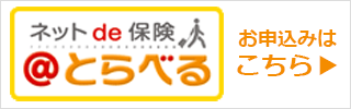 特定手続用海外旅行保険 ネットde保険＠とらべる